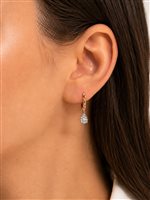 Orecchini Recarlo Donna in Oro Diamante 0.30 Ct XE 262/BR - XE 262/BR